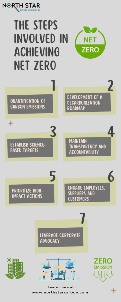 The Steps Involved in Achieving Net Zero An Infographic