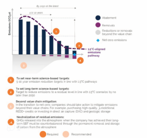 teps for reaching net-zero standards, with emission targets and reduction strategies up to 2050 (Source: SBTi)