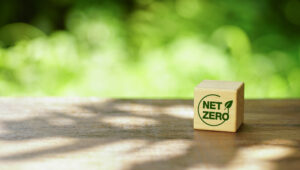 Eco-friendly net zero sign on a wooden block, greenery behind.